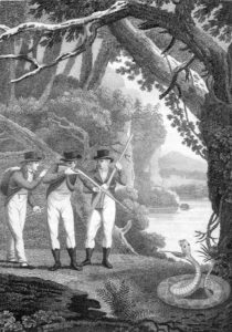 Wilson, nephew William Duncan and student Isaac Leech encounter a rattlesnake along the Susquehanna River during their 1804 journey to Niagara Falls. The print illustrated Wilson’s poem The Foresters. The State Museum of Pennsylvania.