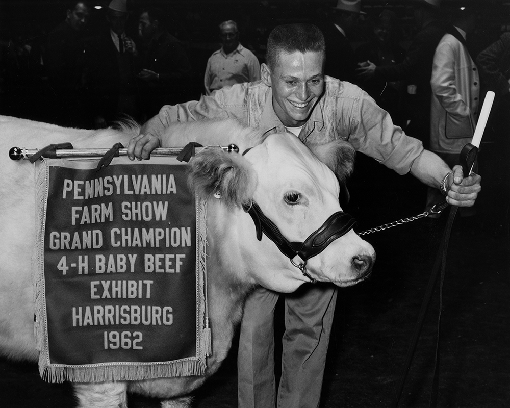 Edward Rissel and his 1,055-pound Shorthorn named Whitey won the 4-H baby beef competition in 1962. RG-1/PA State Archives