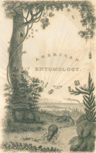 Frontispiece of Volume 1 of American Entomology. State Library of Pennsylvania