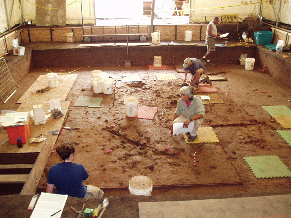 Living surface dating to the Late Archaic Period at Calver Island. KCI Technologies Inc.