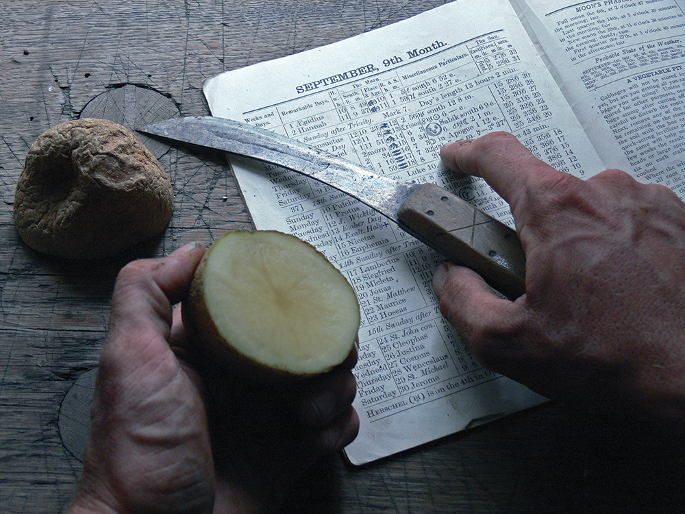Removing warts by the light of the waxing moon with a potato is one of the most common powwow experiences in Pennsylvania Dutch Country. Photo by Patrick J. Donmoyer