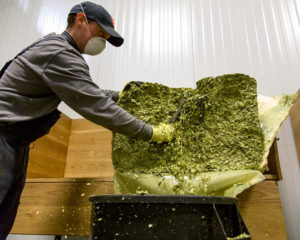 Big blocks of compressed whole-flower hops are broken up and added to give aromatic bitterness to Victory beer.