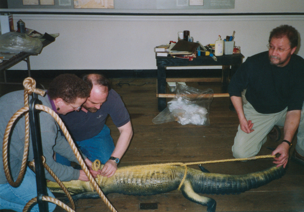 During the Natural History Museum installation at Old Economy in 2002, the alligator specimen was prepared for display by staff of PHMC’s Commonwealth Conservation Center. PHMC Bureau of Historic Sites & Musuems