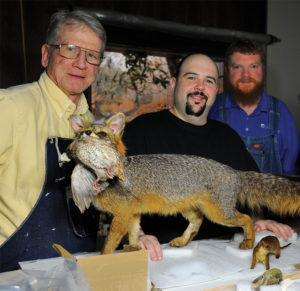 The restoration project began with work on the fox dioramas. Wildlife diorama artist Stephen C. Quinn, left, led the team that included master taxidermist George Dante and State Museum preparator Jonathan Schreffler.