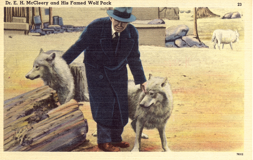 Physician Edward H. McCleery saved the lobo wolf from extinction. Pennsylvania State Archives/MG-213