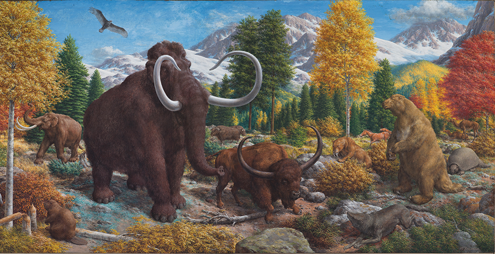 The world of the Pleistocene is depicted in The Age of Mammals, a mural by Rudolph F. Zallinger. This part of the mural shows the variety of species that existed during the epoch, including many whose remains were found in the Port Kennedy Bone Cave such as the American mastodon, sloth, saber-toothed cat, and prehistoric wolves and horses.