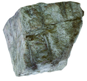 In his 20s, Haldeman discovered the 500-million-year-old trace fossil Skolithos linearis near his home in Marietta. The small lines on the sandstone are the burrows of an ancient worm. Fossil, Haldeman Mansion Preservation Society Inc. / Photo, PHMC