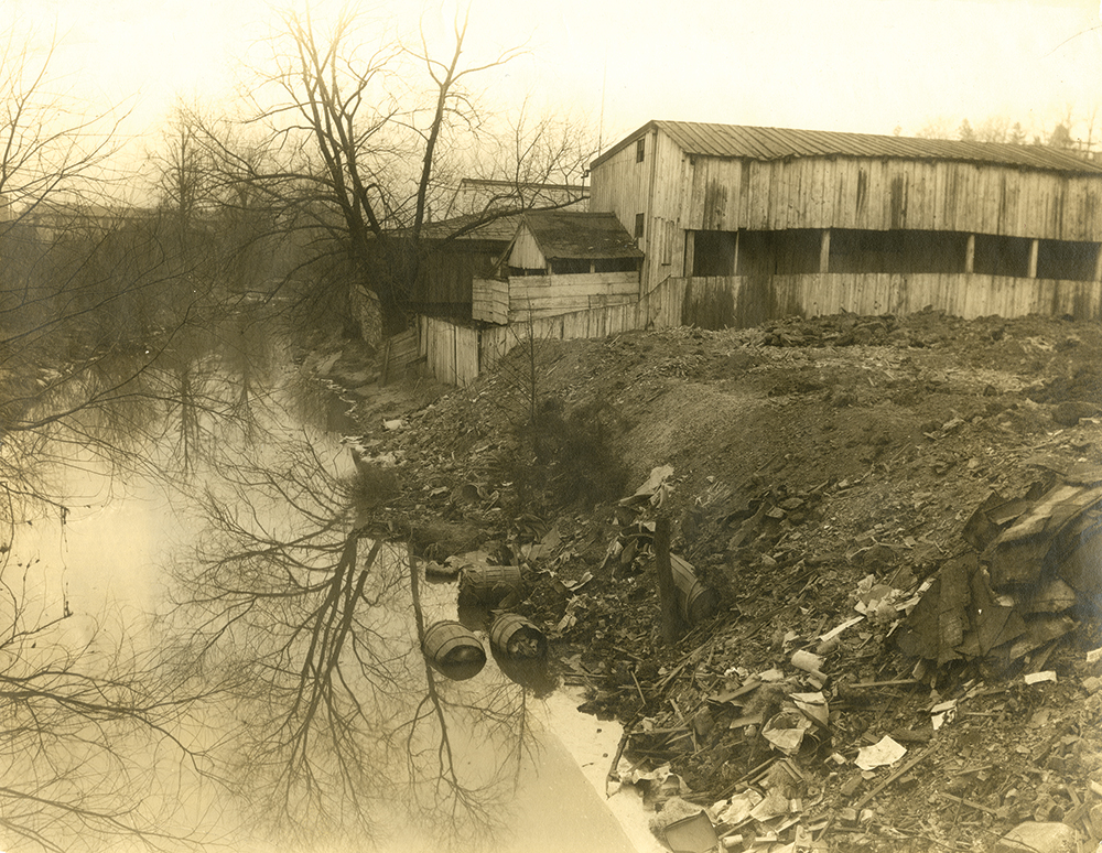 Before Department of Health regulations on sanitation, many Pennsylvanians got their drinking water from places like this stream in Harrisburg, photographed around 1900. Pennsylvania State Archives/MG-43