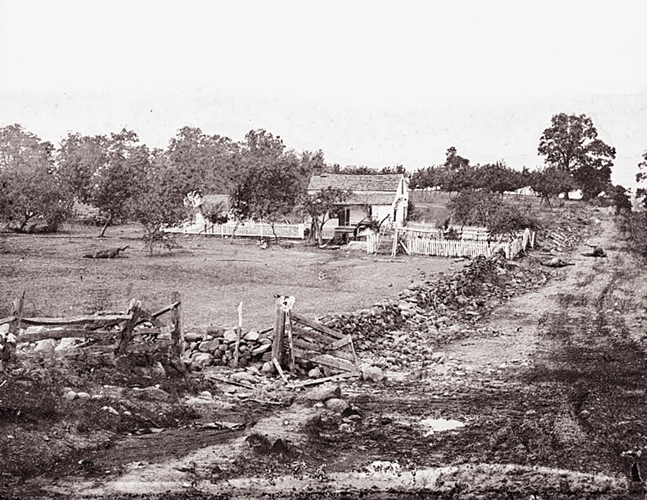 After the battle: Alexander Gardner’s July 1863 view of General George Gordon Meade’s headquarters on Seminary Ridge. Library of Congress