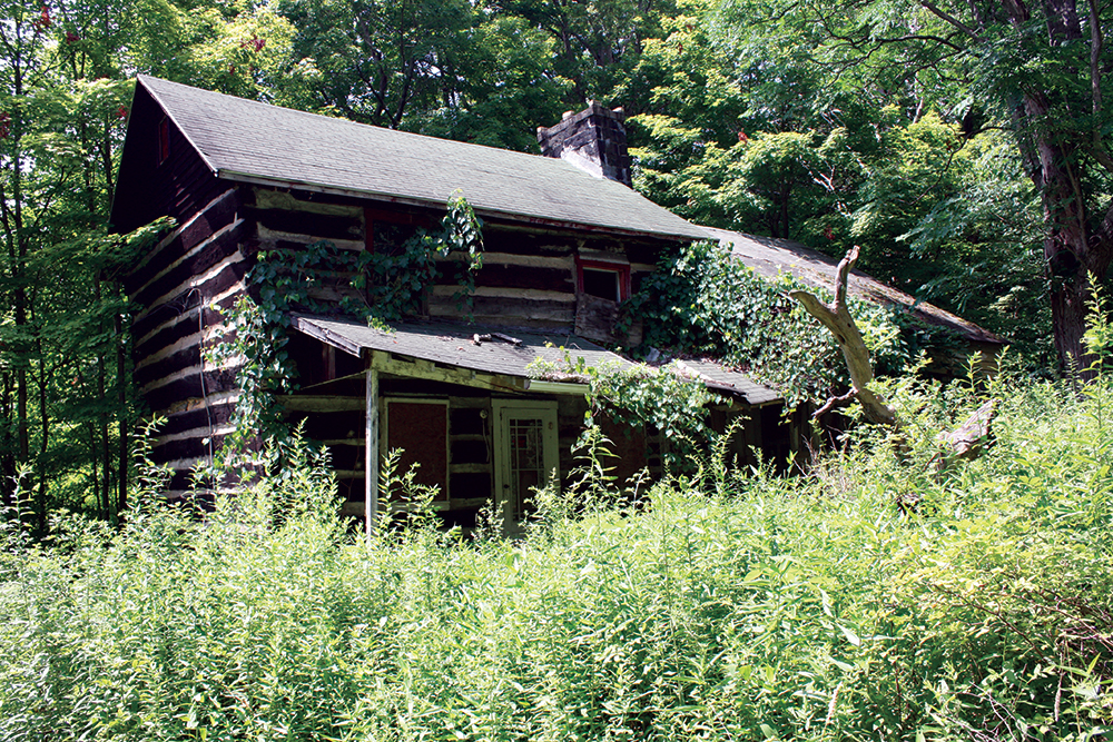 The eastern facade of the Carroll Cabin during 2016 fieldwork. Dead vegetation has since been cleared away. Photo, Katherine Peresolak