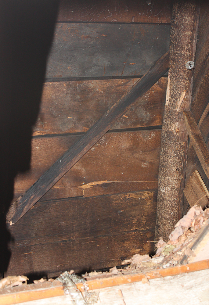 This view of the roof shows the burnt wood used in construction and a sapling rafter. Central beams were marked with matching Roman numerals. Photo, Katherine Peresolak