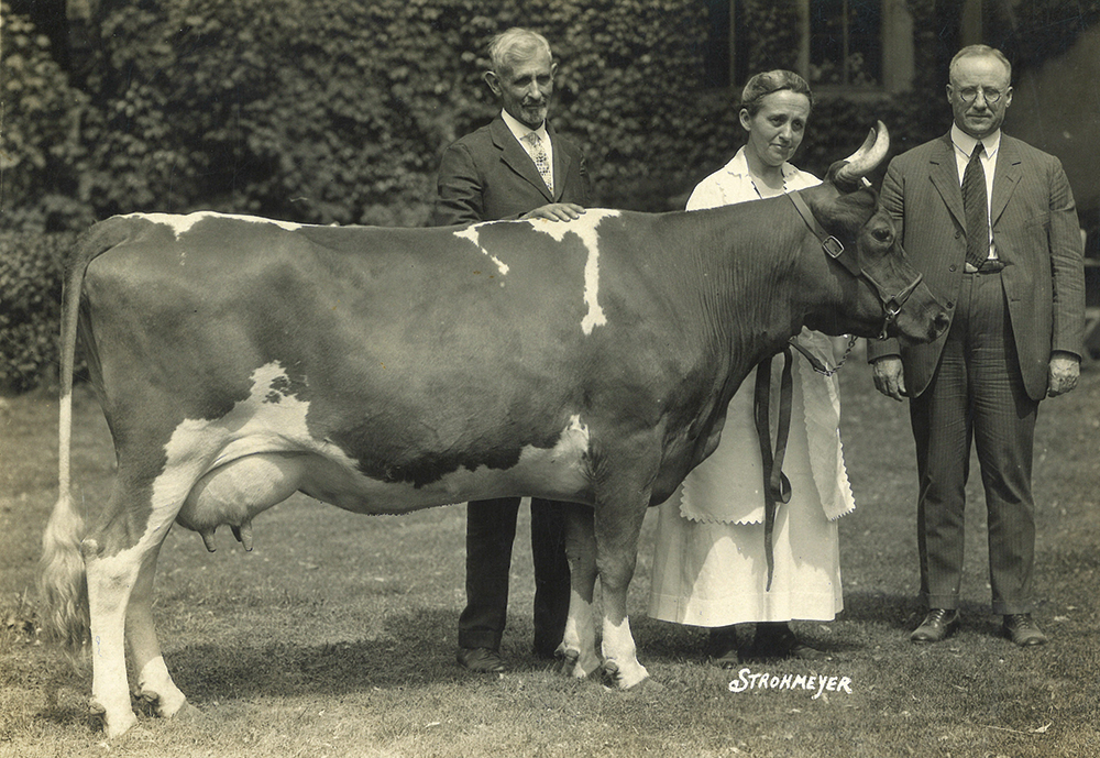 Martha Thomas conformed most closely to the image of old-line suffragist turned lawmaker. She descended from one of Chester County’s original settler families. During the 1920s, Thomas continued to live and work on the family’s 200-acre farm in Whitford, where she and her sister raised Guernsey cattle. During her two terms in office, she championed causes that overlapped closely with the League of Women Voters’ legislative agenda. Papers of Hon. Barabra McIlvaine Smith, 2007-2010, Pennsylvania House of Representatives Archives, Harrisburg