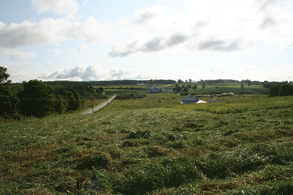A view of the country crossroads and rolling hills where the antebellum African American community near Indian Run, known as Pandenarium, once stood. Photo, Angela Jaillet-Wentling