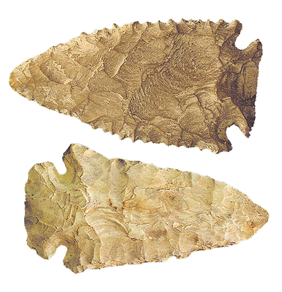 Found in Pennsylvania, these Kirk projectile points were manufactured from chert about 9,500 years ago. The State Museum of Pennsylvania