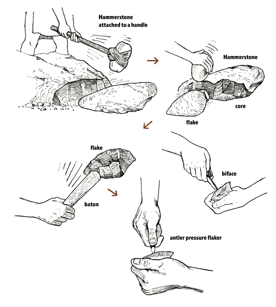 The stages of basic flintknapping, from quarrying to final production. The State Museum of Pennsylvania / Drawings by Jonathan Frazier