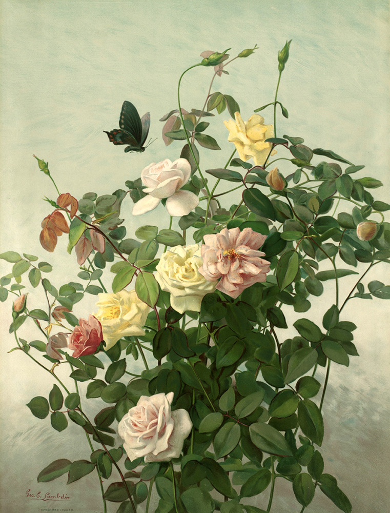 June Morning (1878) was typical of the “Lambdin Roses” published by Louis Prang of Boston. Wikimedia Commons / Boston Public Library, Print Department