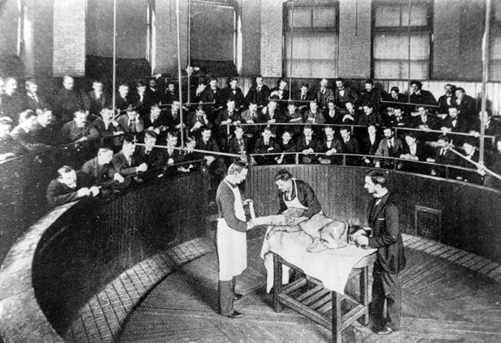 The surgical amphitheater at the School of Veterinary Medicine, University of Pennsylvania, circa 1897. University Archives and Records Center, University of Pennsylvania