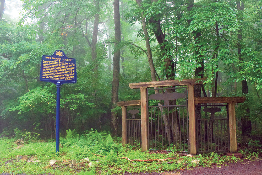 A Pennsylvania Historical Marker for Hawk Mountain Sanctuary, dedicated on September 14, 2019, stands along Hawk Mountain Road at the path to North Lookout. Photo, Pennsylvania State Historic Preservation Office