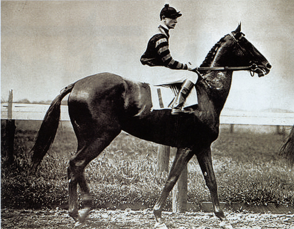 Legendary thoroughbred Man O'War. The State Museum of Pennsylvania