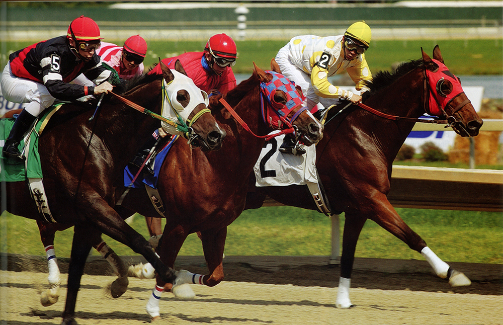 Thoroughbred racing in Pennsylvania. The State Museum of Pennsylvania