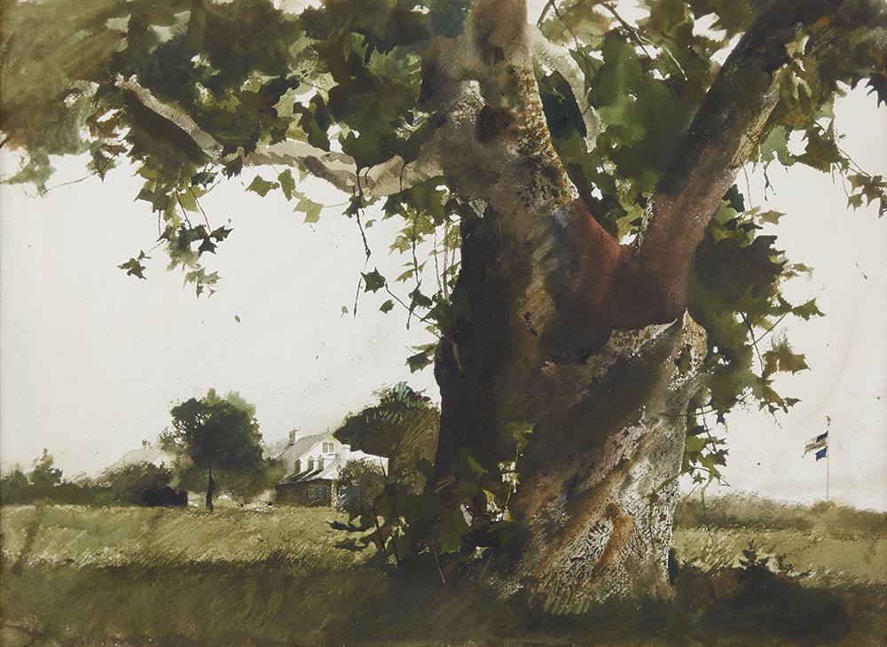 During his visit to Gettysburg to paint Eisenhower's portrait, Wyeth created this watercolor-on-paper landscape, depicting an old sycamore at the Eisenhower farm with the house in the background. The artist gave the painting to the president as a gift and later recommended naming it At Home. Private collection. ©2024 Wyeth Foundation for American Art / Artists Right Society (ARS)