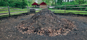 This charcoal pile is fully burned and cooled. The earth and leaves are then raked out, exposing the charcoal. Photo, Suzzane Reisser