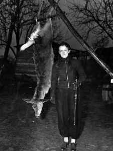 In this 1930s photo, a Pennsylvania woman stands proudly by the antlerless deer she took with a Springfield Model 1898, originally manufactured as a military firearm. Although she changed into finer clothes before the photo op, she preferred not to part with her trusty rifle. Pennsylvania Game Commission