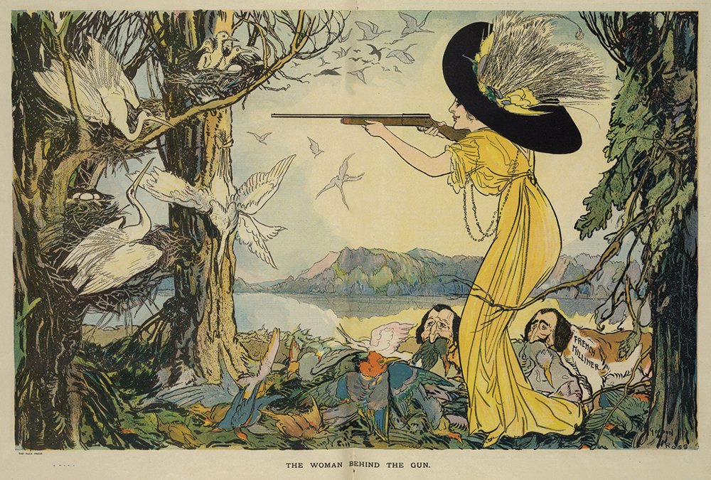 Published in 1911 in Puck magazine, this satirical illustration by Gordon Ross measured the cost of women’s fashion on America’s declining nesting colonies of wading birds, such as great egrets. The creation of state Audubon societies, and eventually a National Association of Audubon Societies, spurred a crusade that eventually smothered this exploitation by reasoning with Americans and their legislators that no bird should go extinct from the demands of fashion. Library of Congress Prints and Photographs Division