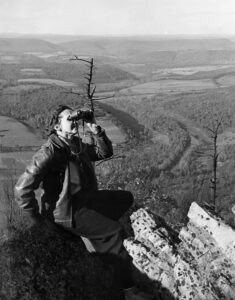 Springdale native Rachel Carson, pictured here at Hawk Mountain Sanctuary’s North Lookout in the mid-1940s, led the charge challenging the use of DDT and other deleterious organochlorines in agricultural and household insecticides. Her research as a federal marine biologist showed these chemical concoctions caused huge reproduction problems for apex predators, such as bald eagles, ospreys and peregrine falcons. Courtesy of Linda Lear Center for Special Collections and Archives, Connecticut College
